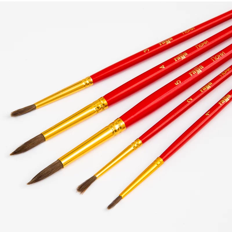 Set pensule GAMMA Ponei, 5 bucati, blister