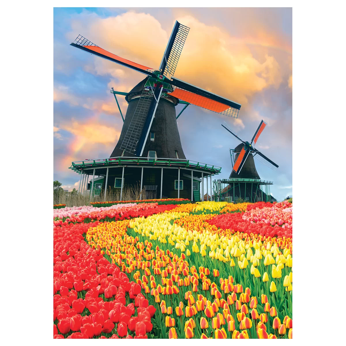 Puzzle ТРИ СОВЫ "Moare de vint", 1000 elemente