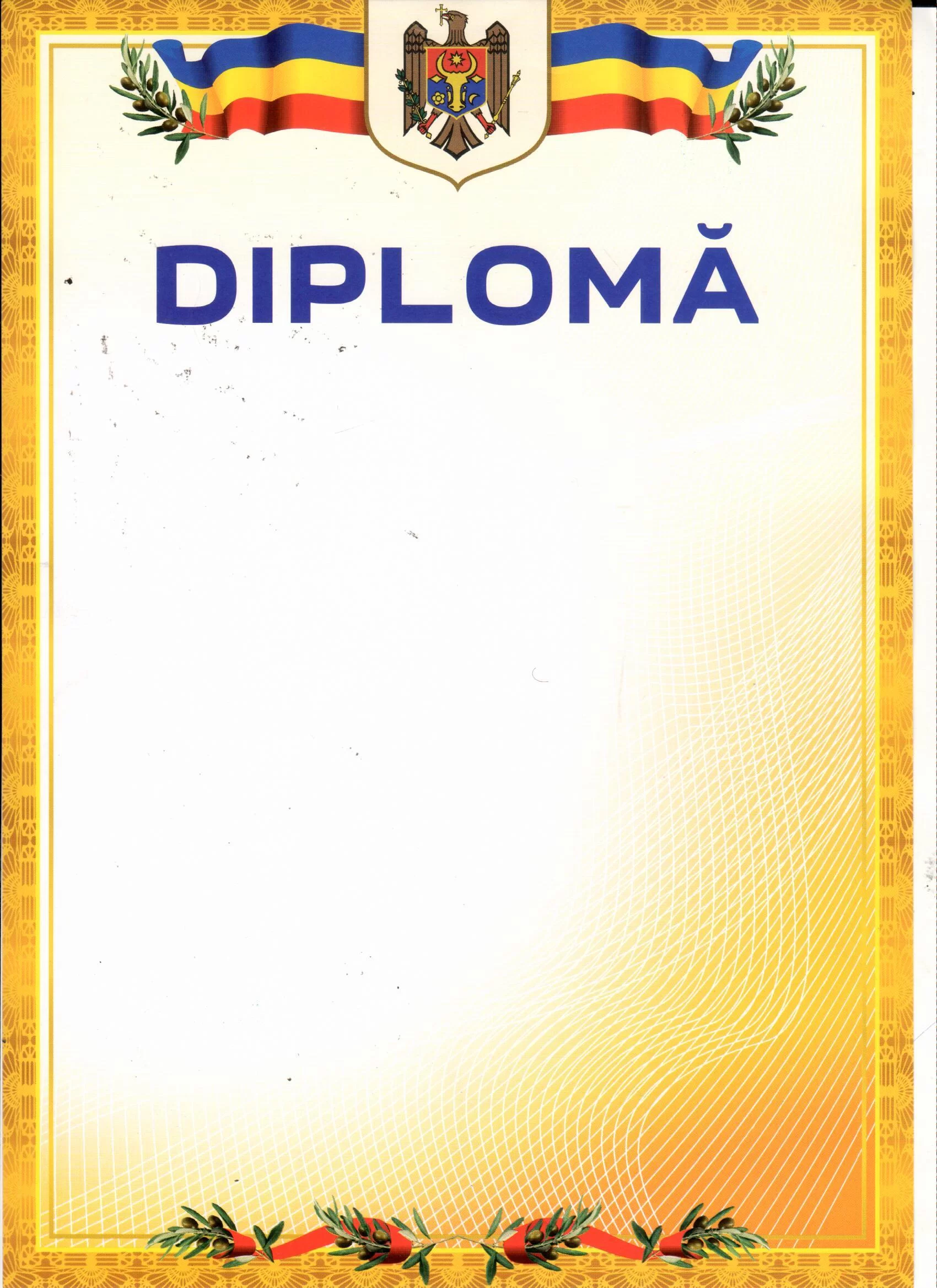 Diploma A4 U07